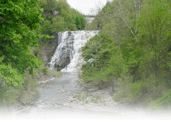 Ithaca Falls